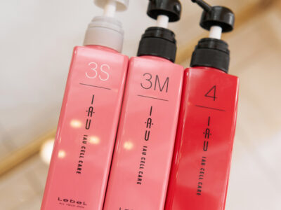 SPA программа «Жизненная энергия волос» Lebel